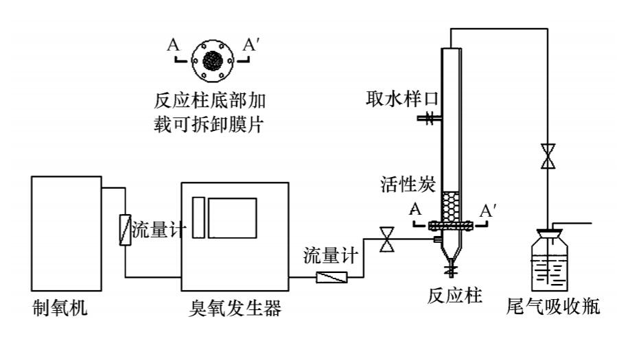 91视频直播APP下载+活性炭實驗方案